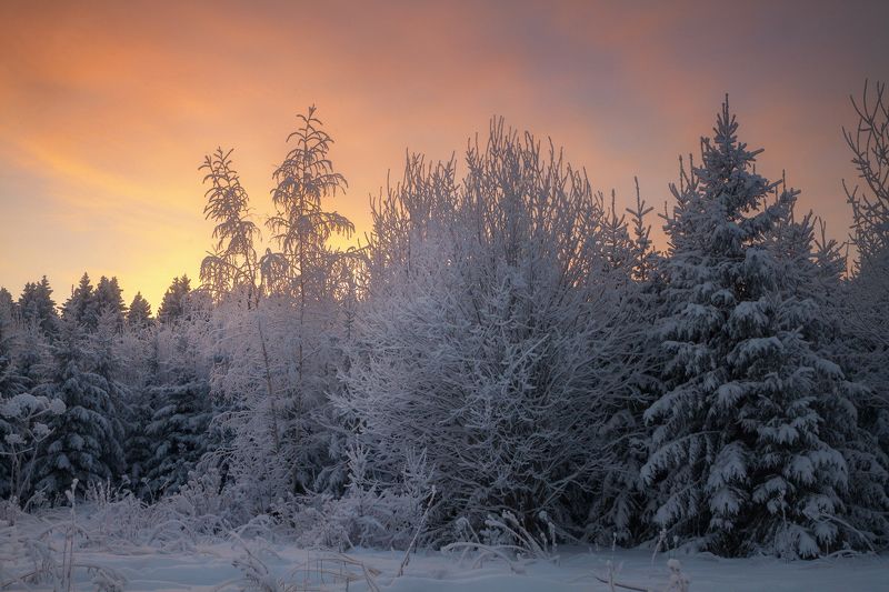 Морозный вечер фото превью