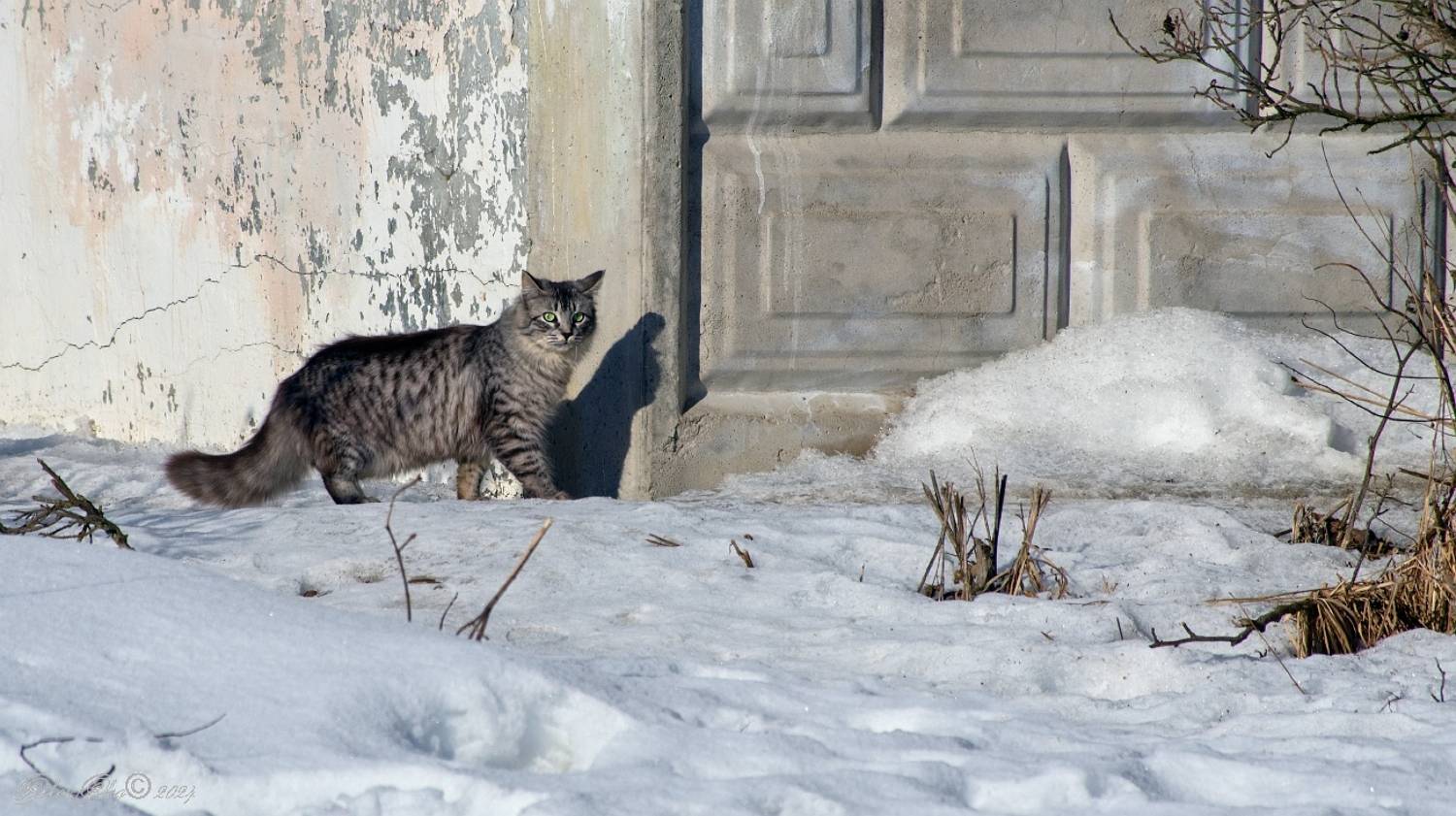 , Орлов Олег