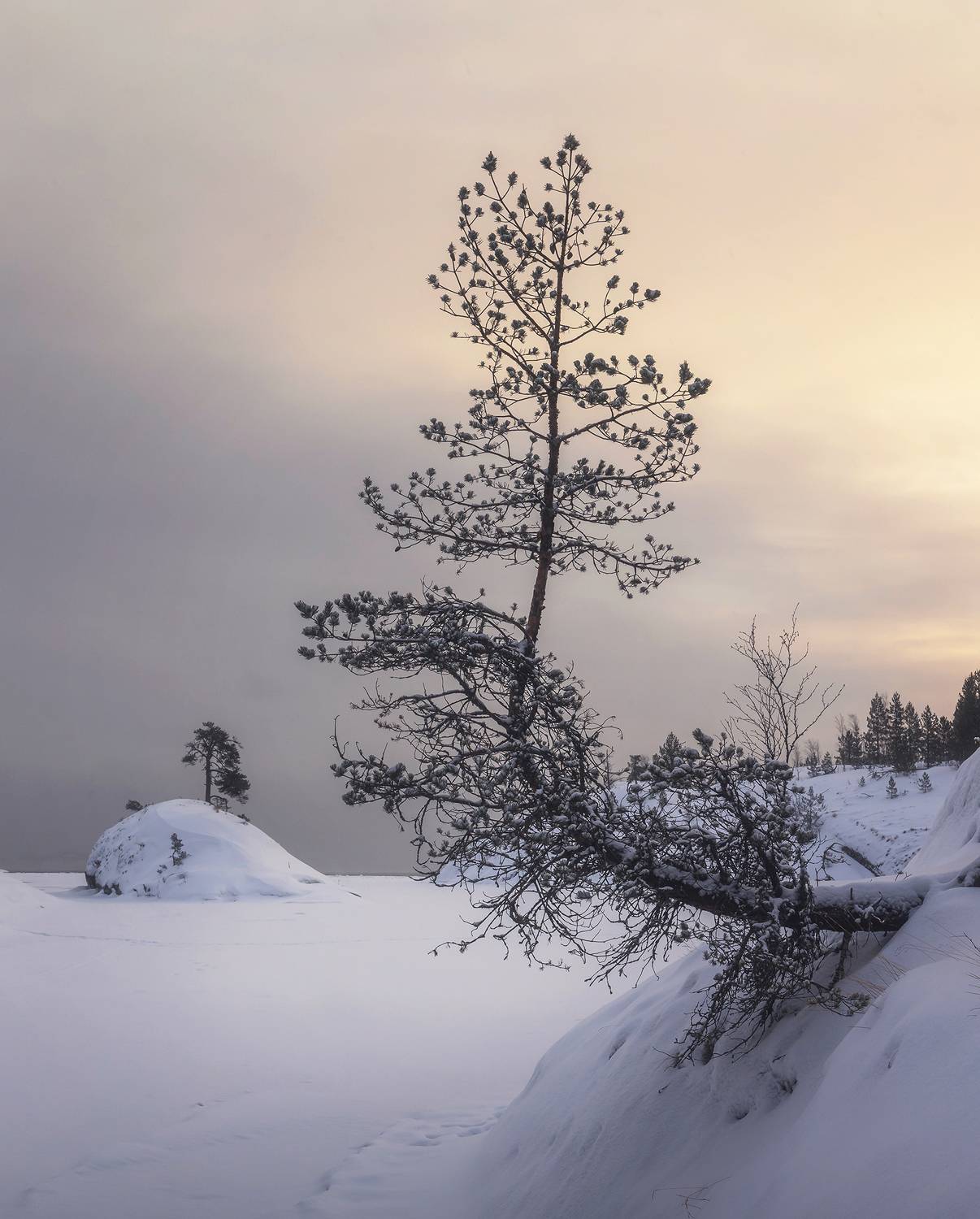 , Грамаков Юрий