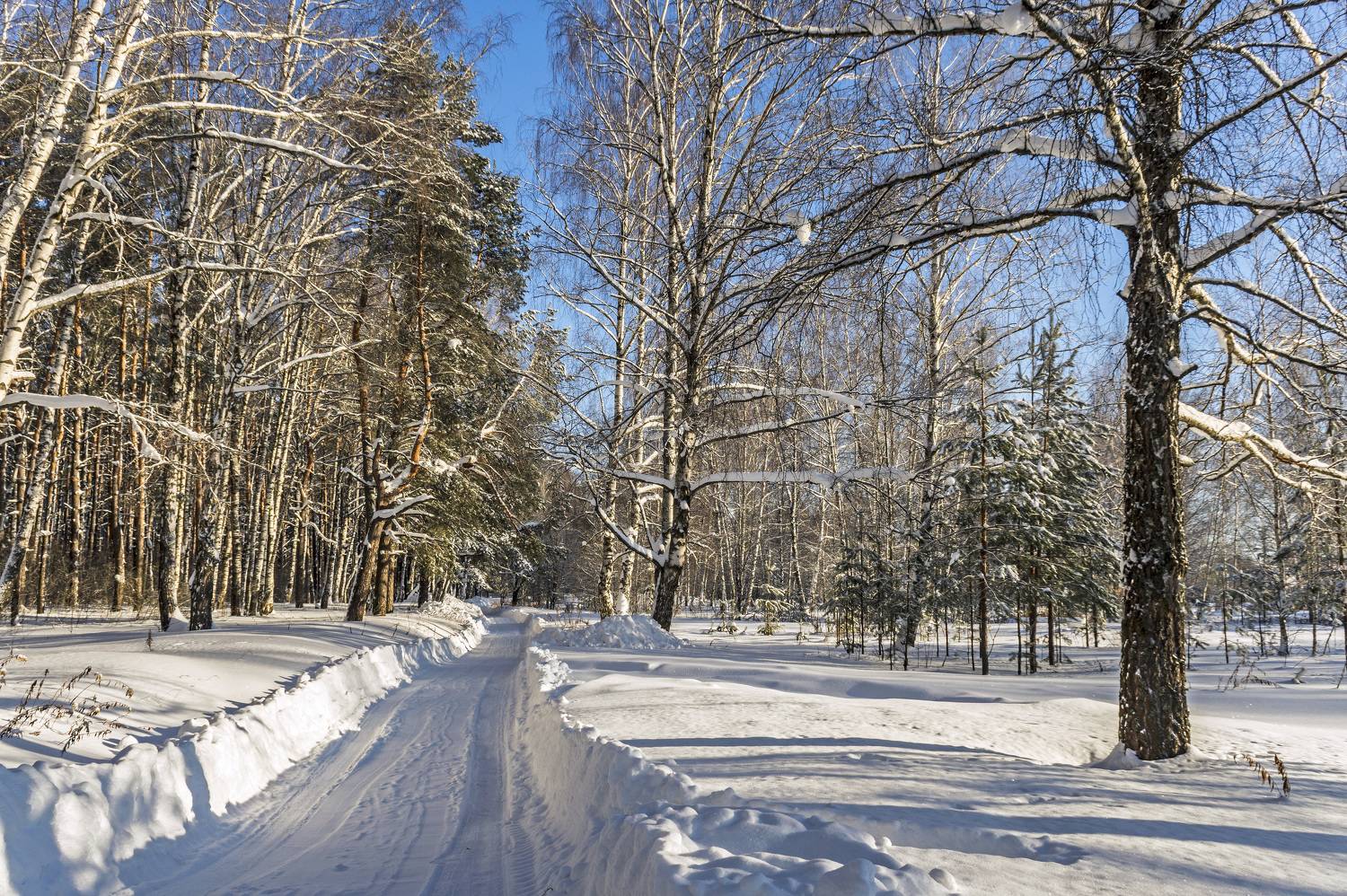 , Шитов Александр