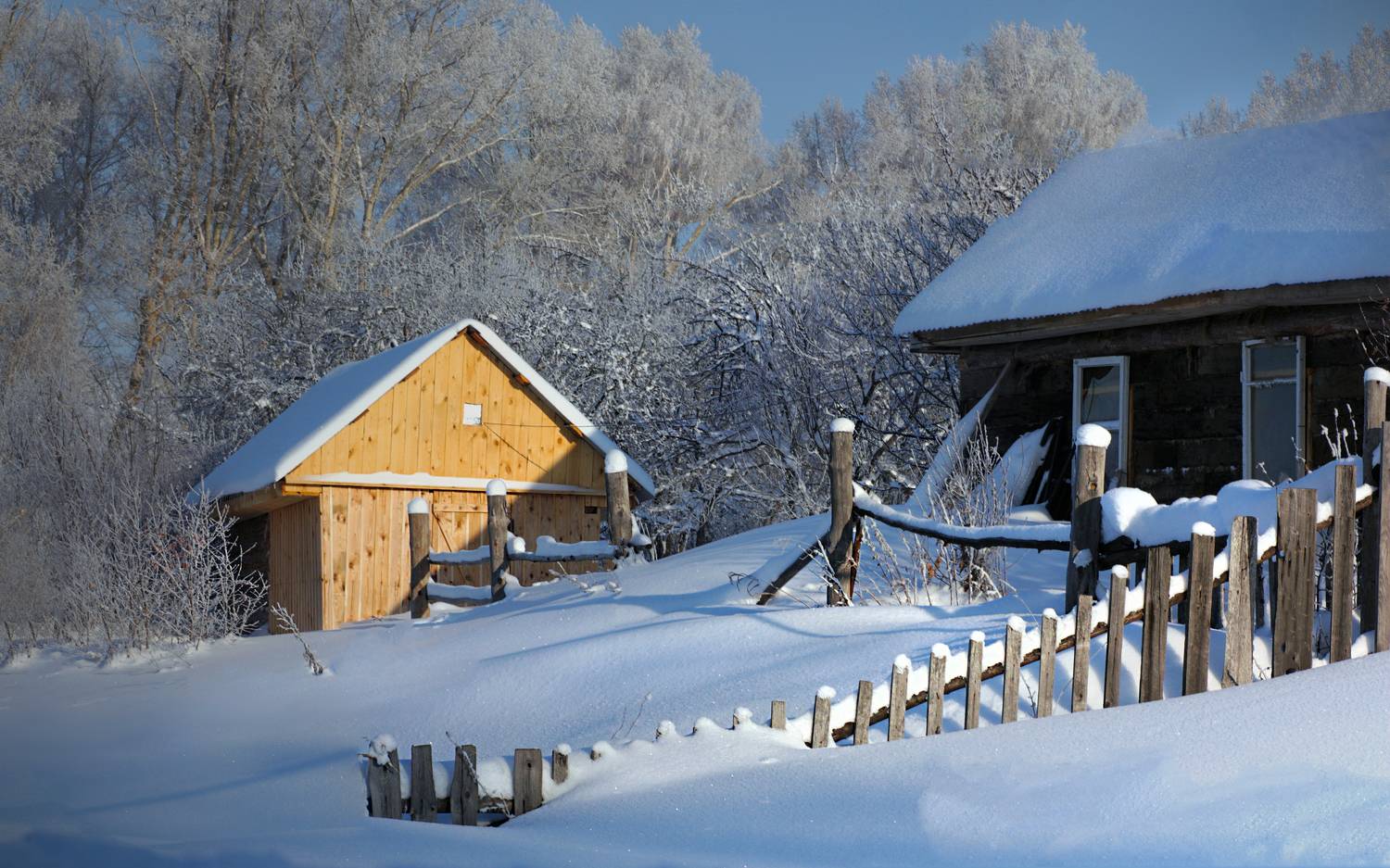 , Заболотская Ольга