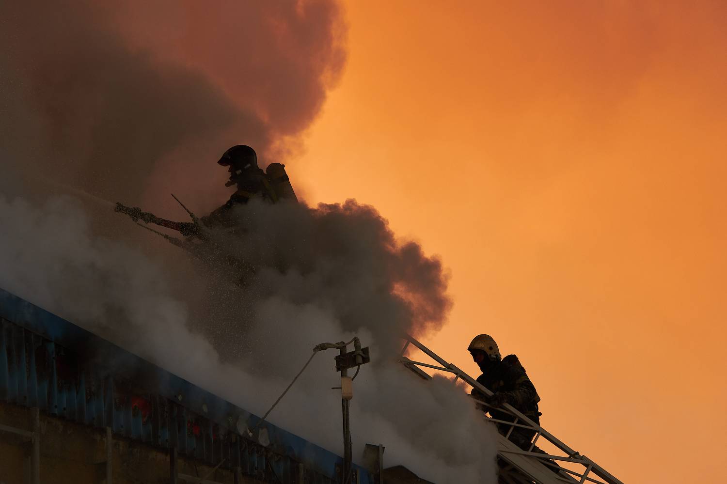 , Илья Тильман