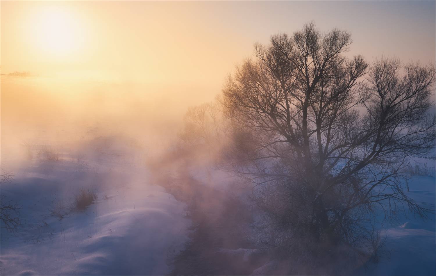 , Богорянов Алексей