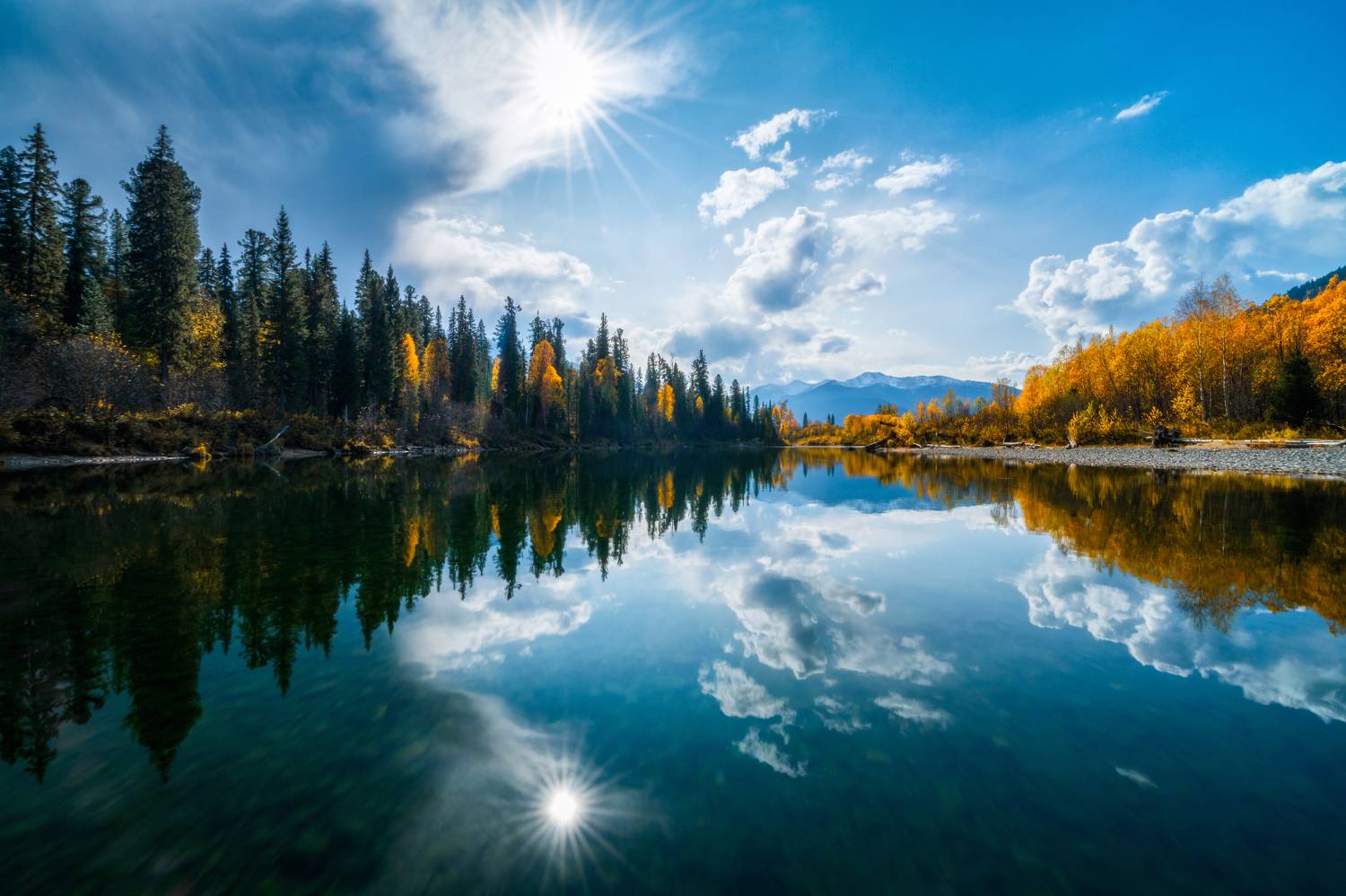 , Nikitin Alexander