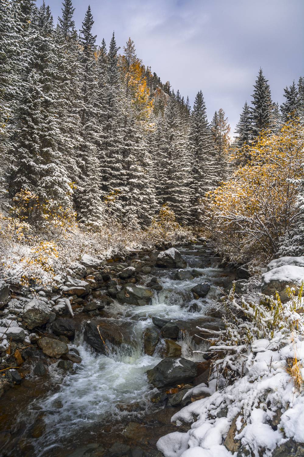 россия, горный алтай,речка чибитка,осень, Андрей Поляков