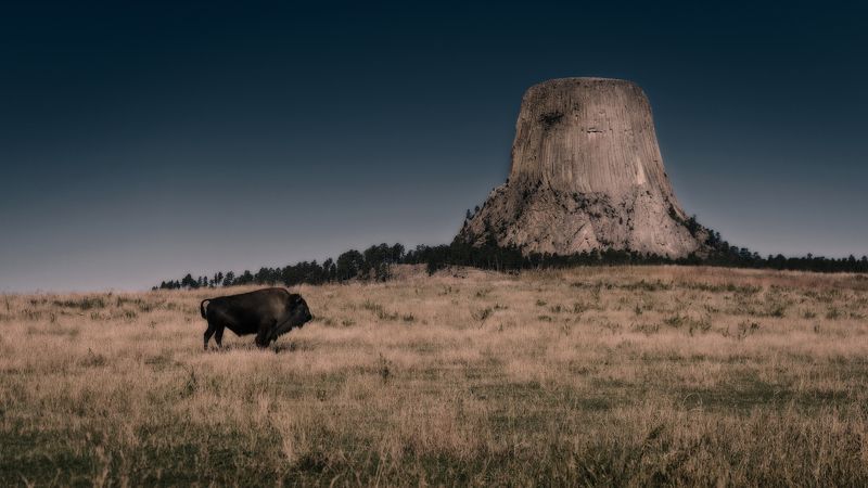 Башня дьявола фото превью