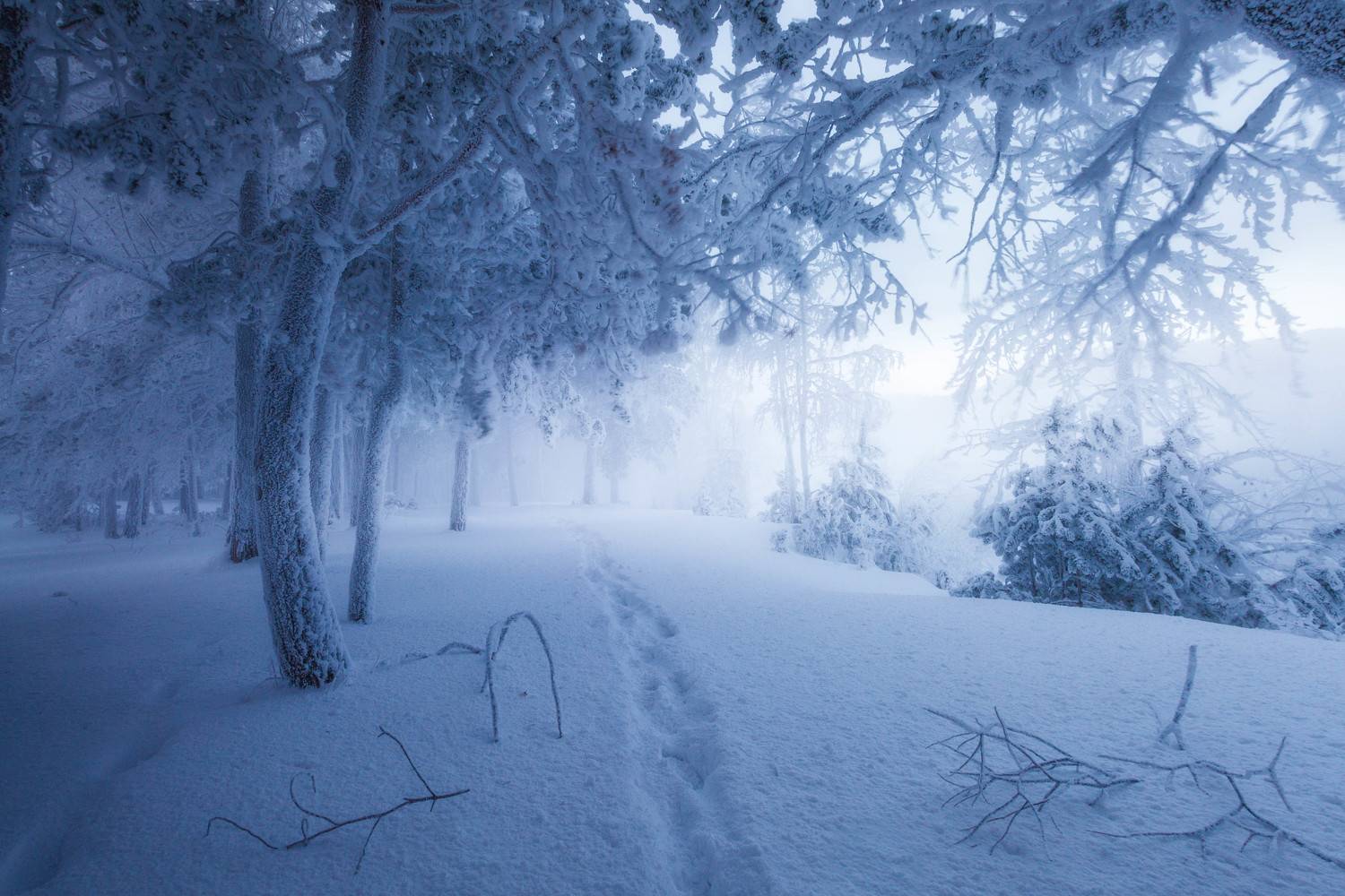 , Ксензов Максим