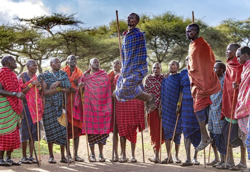 Adumu фото превью