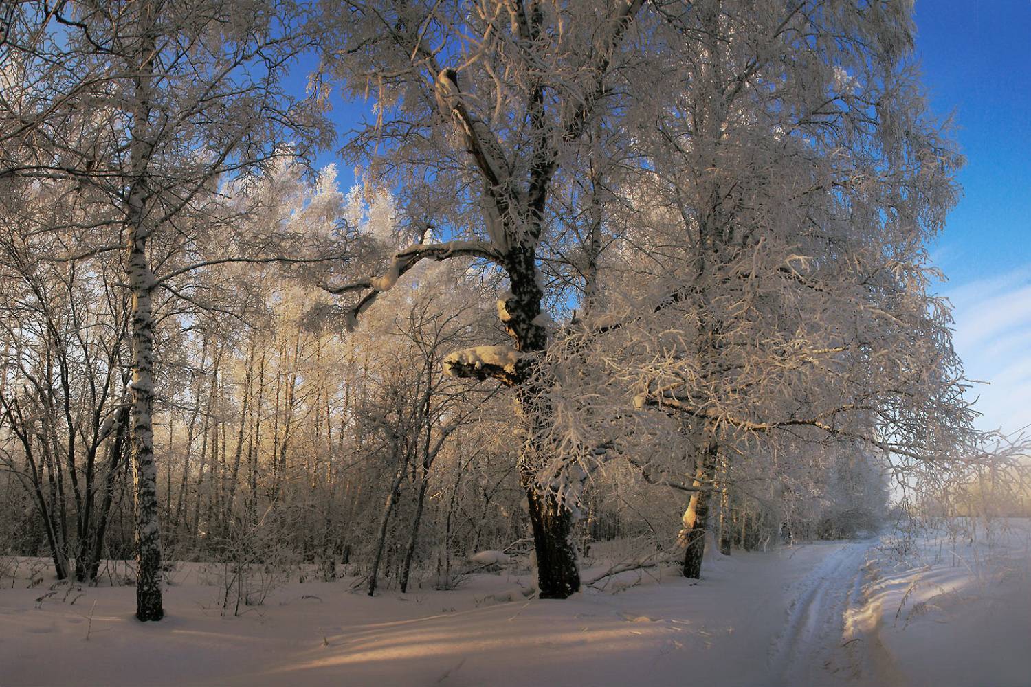 , Алексей Хахлов