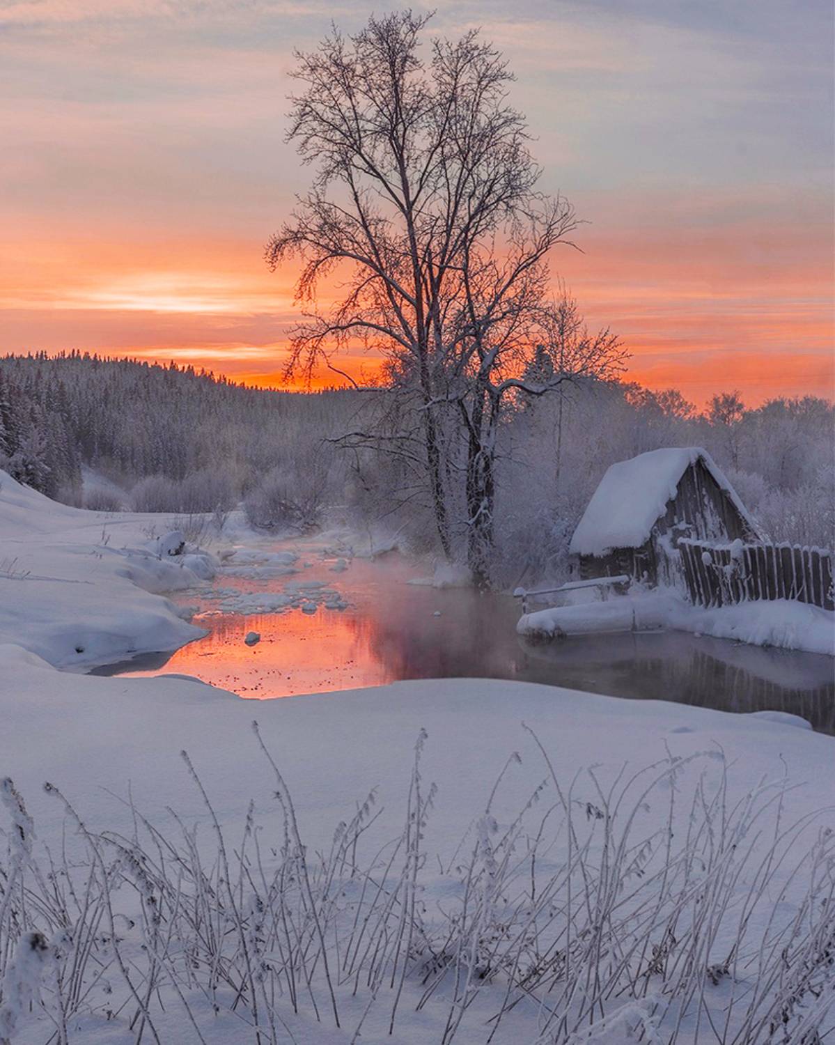 , Петр Косых