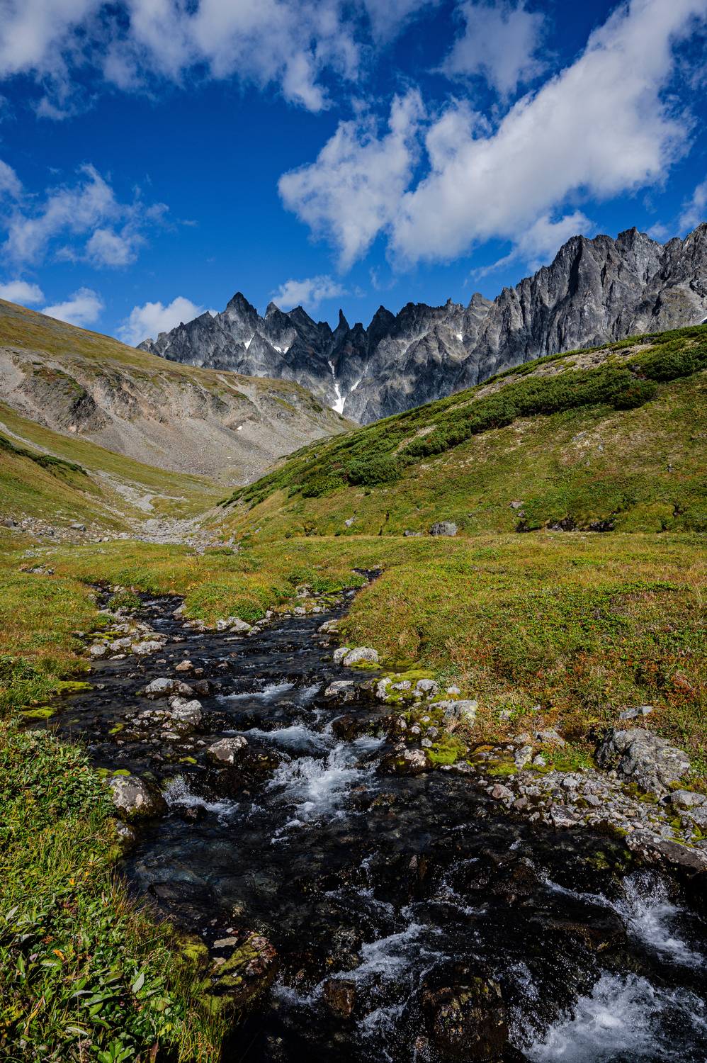 , Александр Мухин