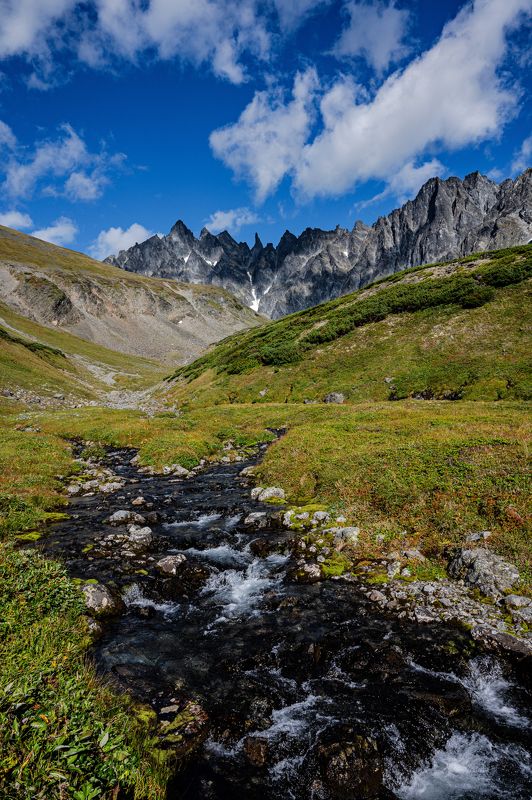 Ганальские востряки  фото превью