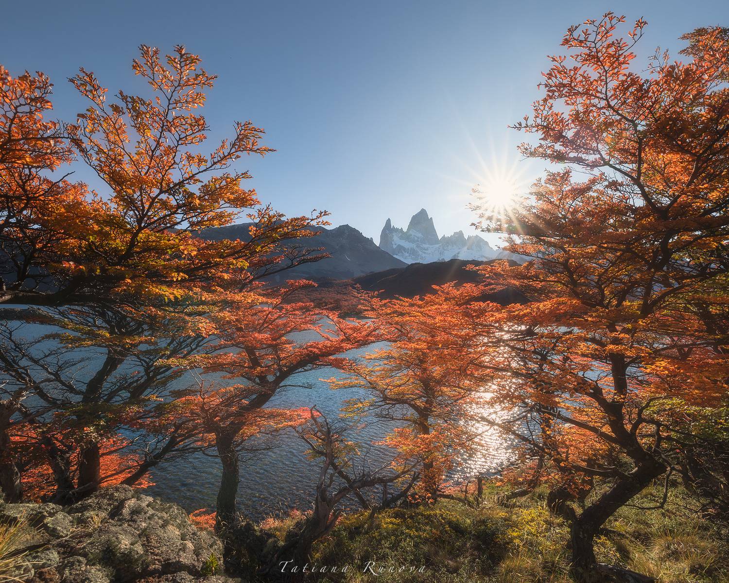 , Рунова Татьяна