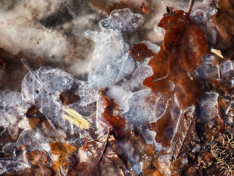 Frozen 5 фото превью