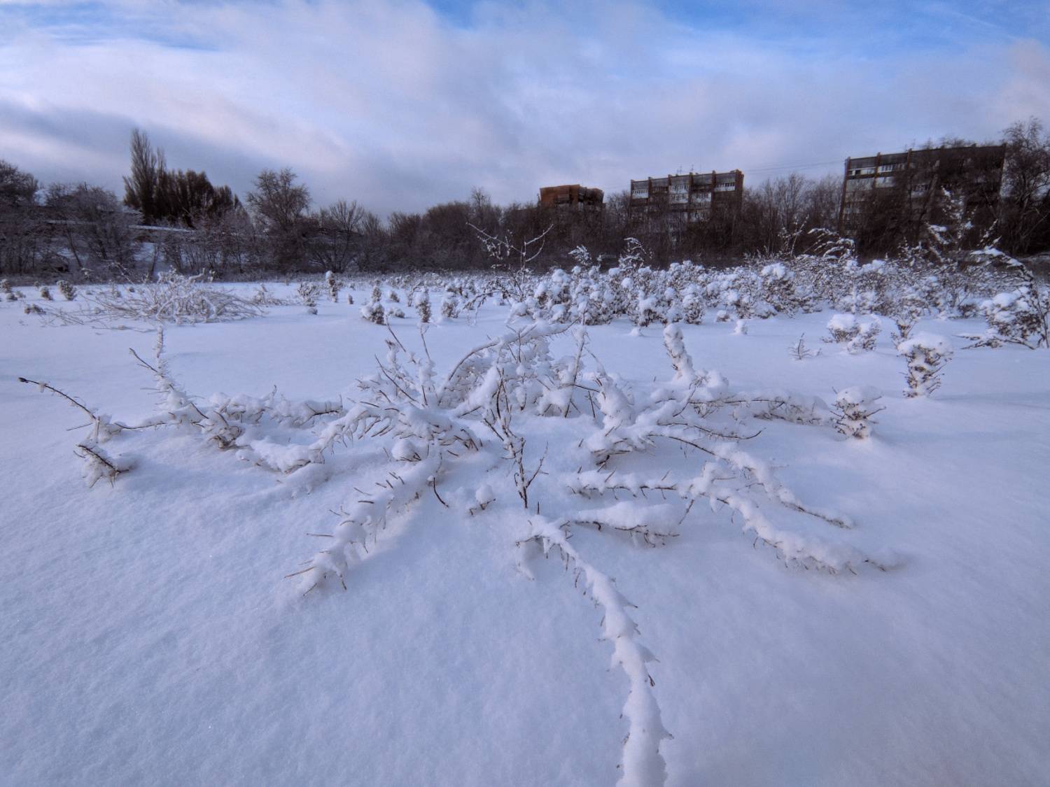 пейаж,зима, Андрей Ларионов
