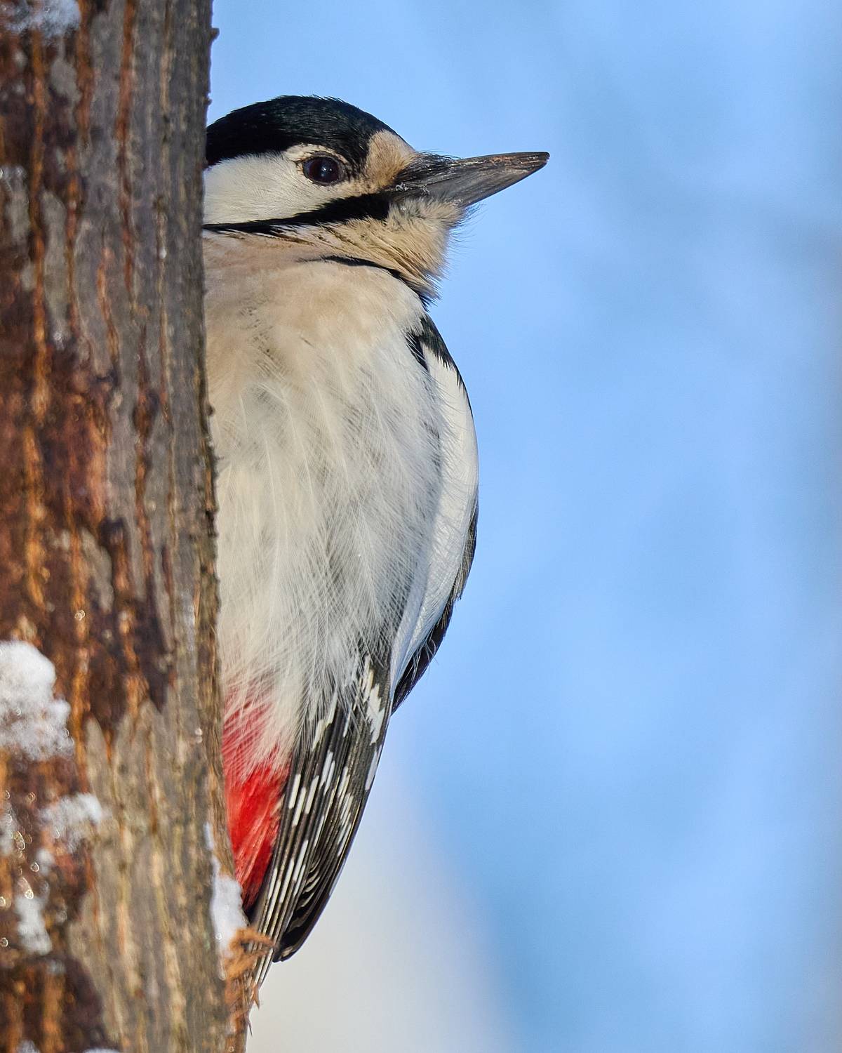 , Гильманов Артур