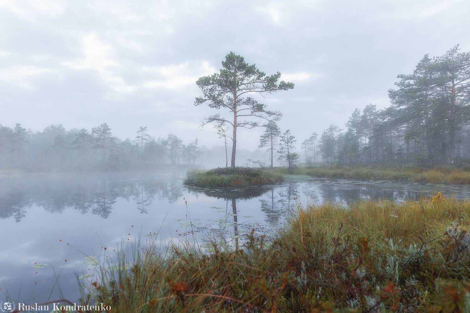 ленинградская область, озеро, рассвет, закат, рыбачье озеро, туман, Кондратенко Руслан