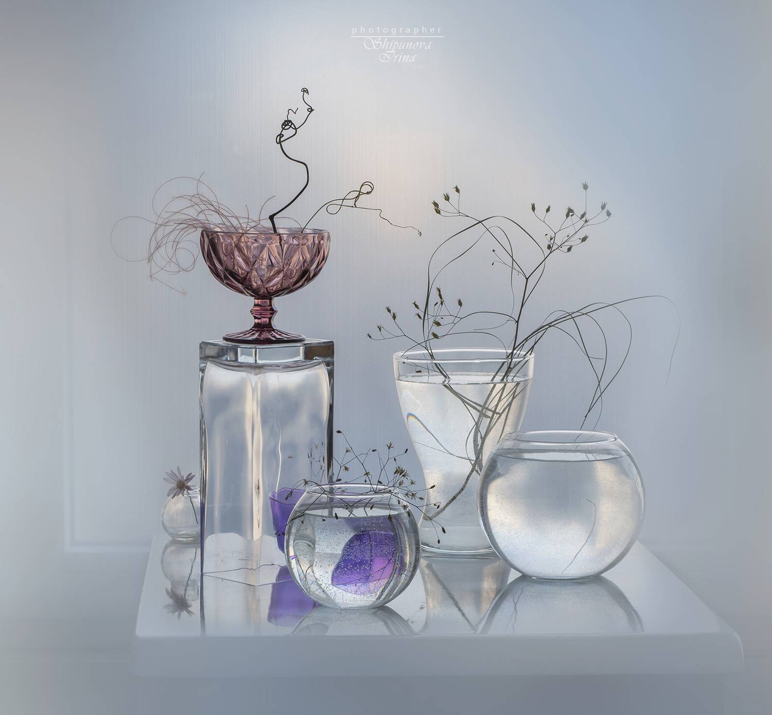 , Ирина Шипунова