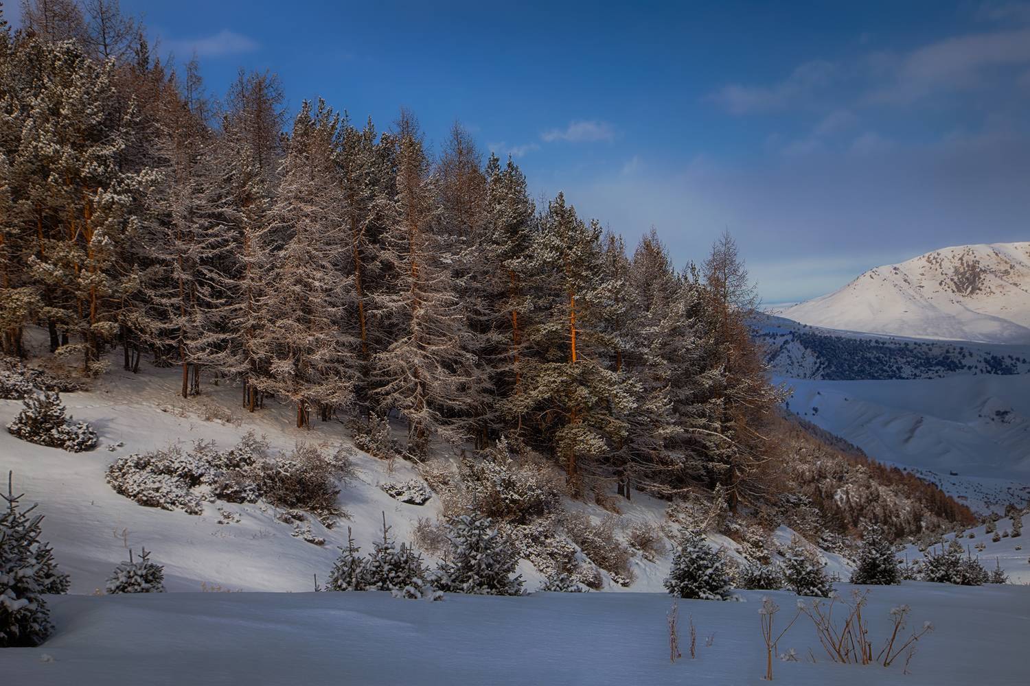 кыргызстан, урочище чункурчак, Элина Магалимова