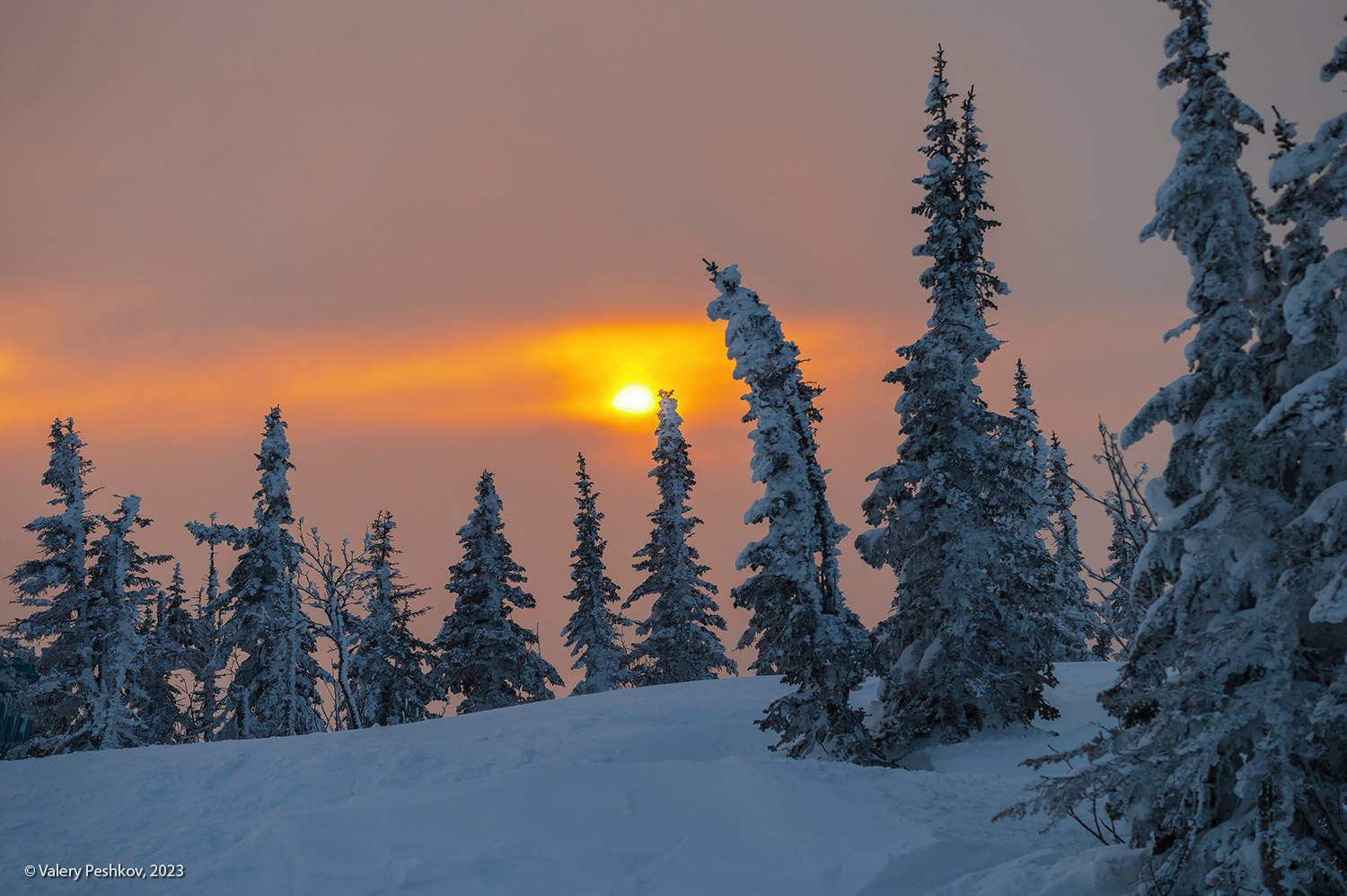 пихты, гора зелёная, зима, утро, мороз, морозная дымка, рассвет, шерегеш, горная шория, сибирь, Пешков Валерий