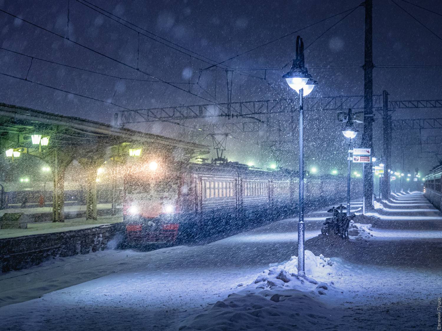 , Евгений Луцко