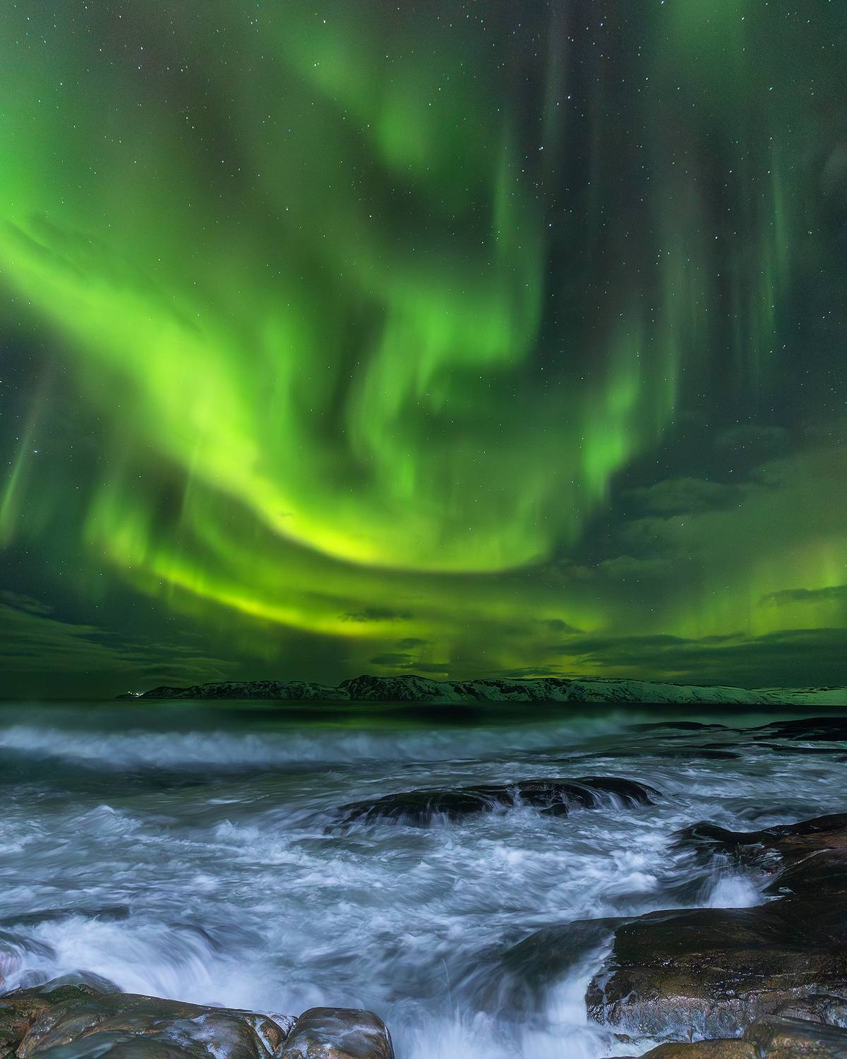 , Александр Пашеничев