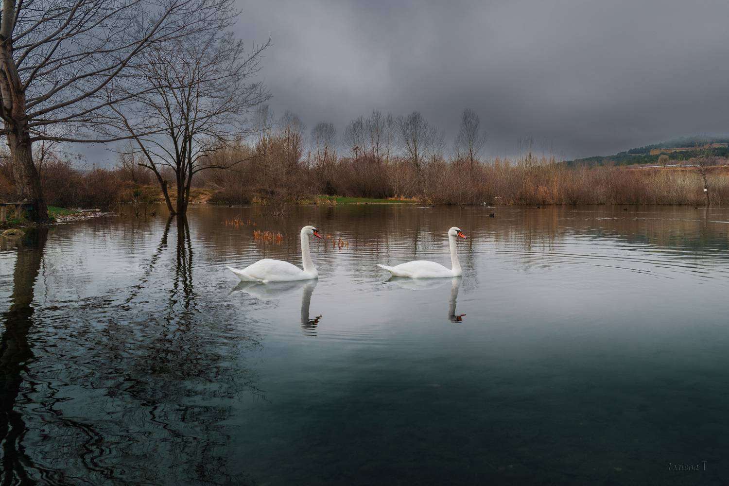 , Алиева Татьяна