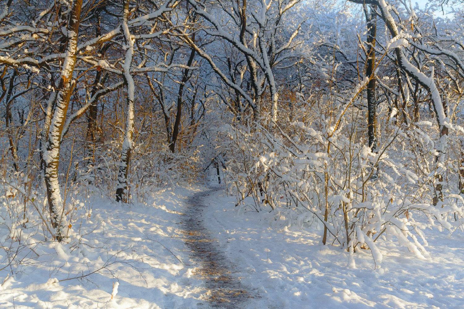 , Лысенко Сергей