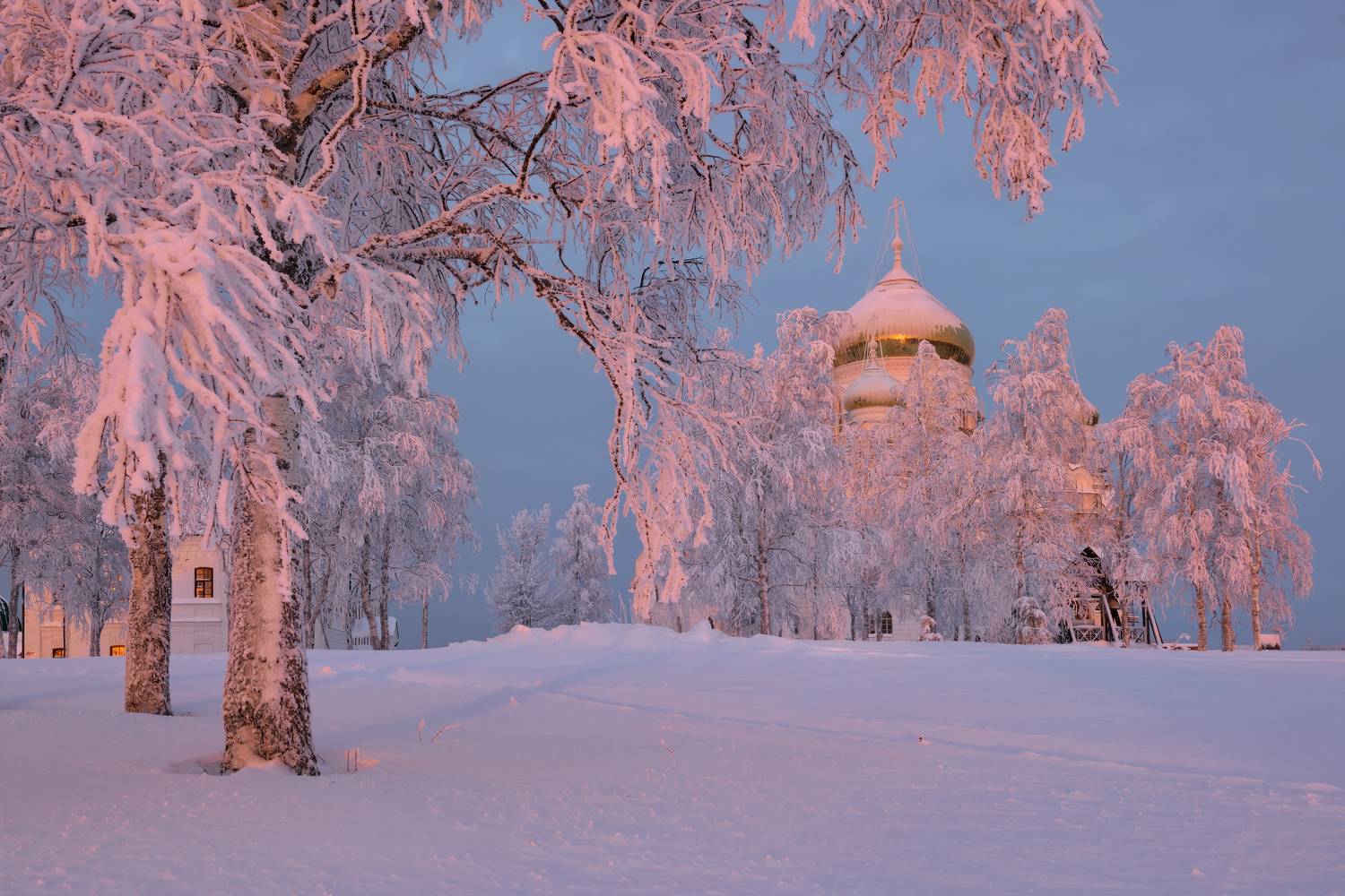 , Максим Евдокимов