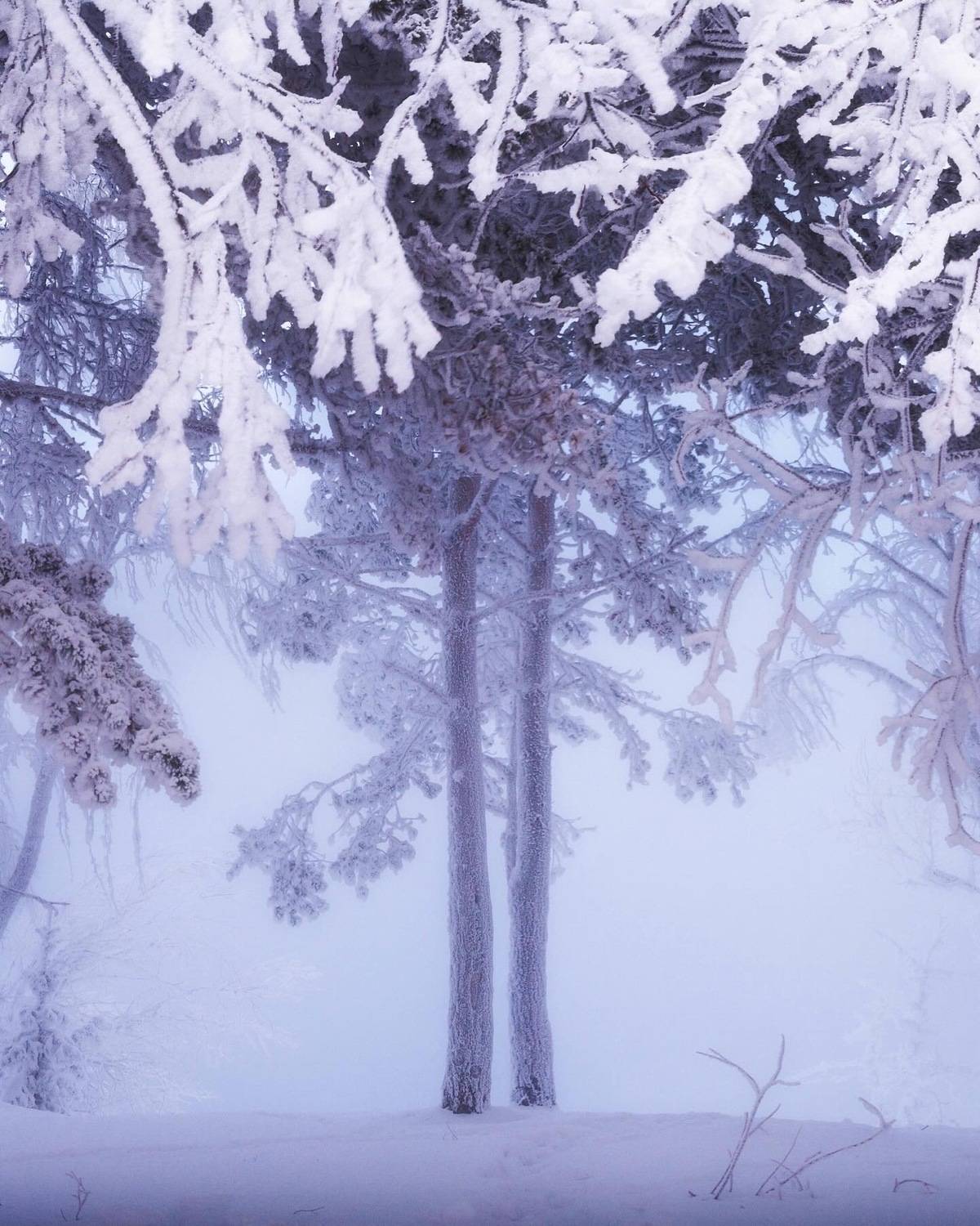 , Ксензов Максим