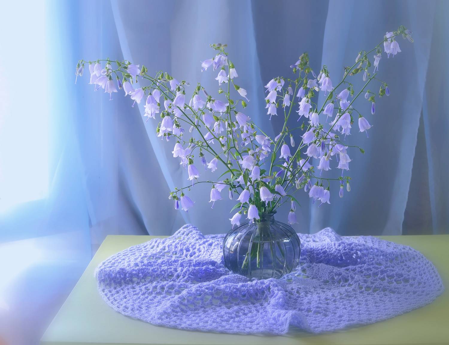 колокольчик,цвет,ваза,букет,цветы,инаида, Инаида