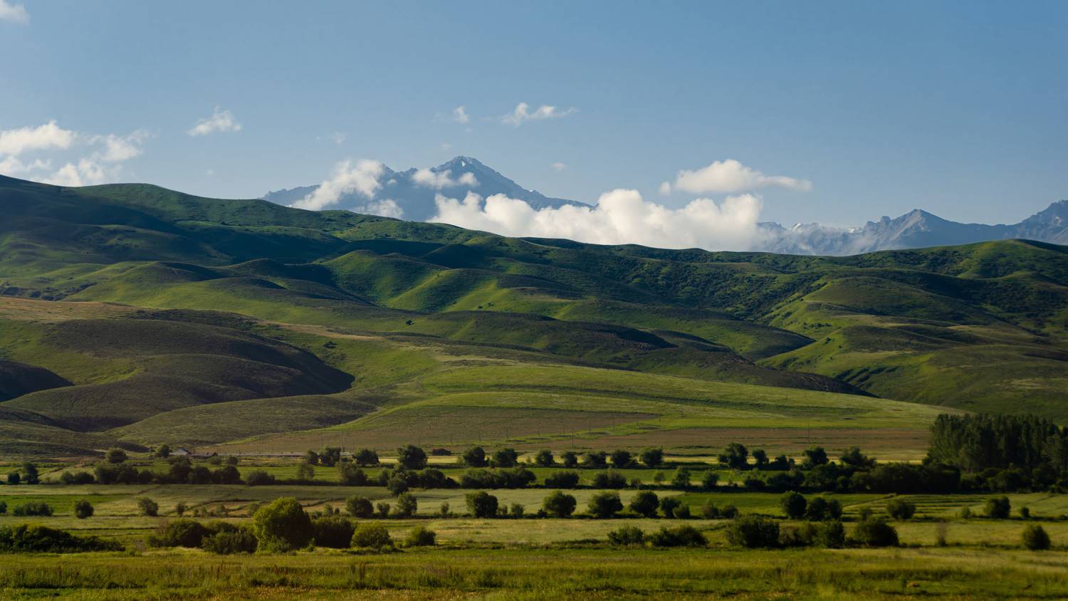 , Савенко Кирилл