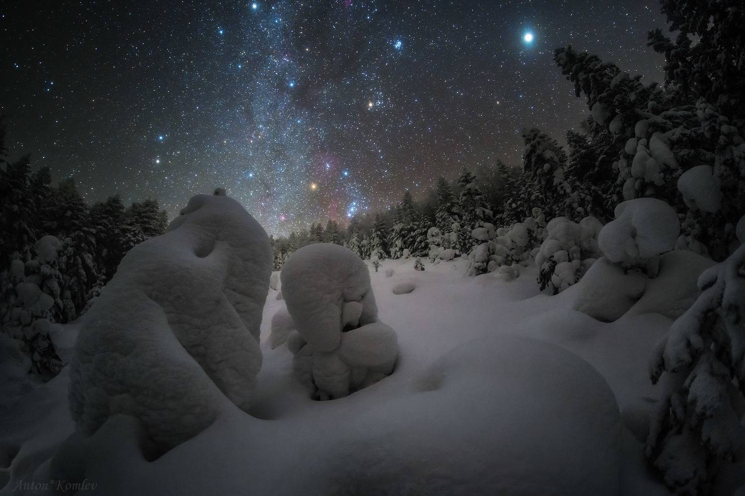 ночь, звезды, орион, плеяды, юпитер, зима, снег, елки, зимний лес, приморье, Комлев Антон