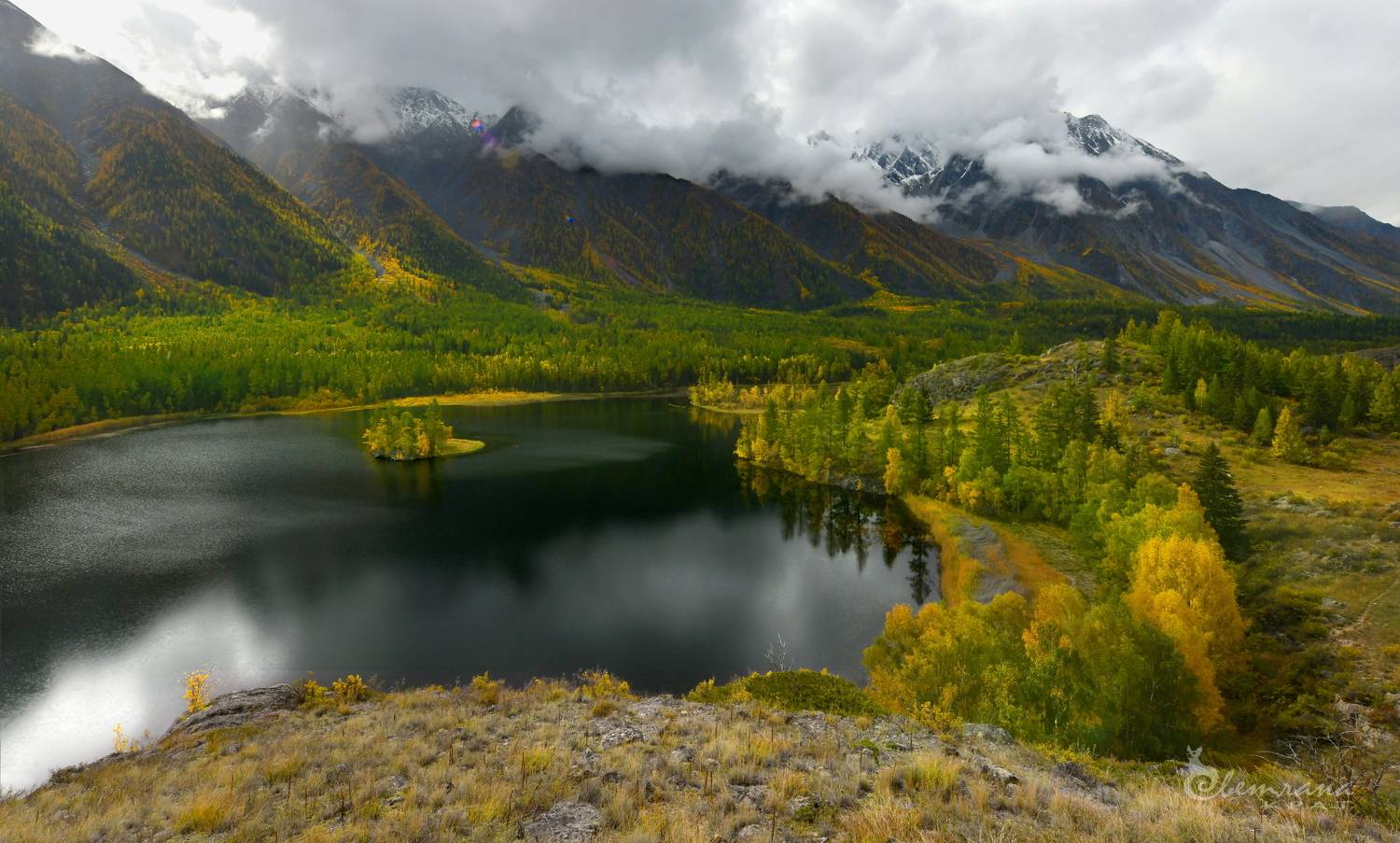 , Светлана Крат