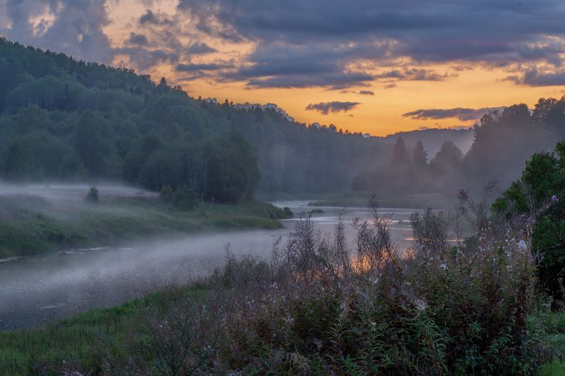 Туманно-Иван-Чайная фото превью