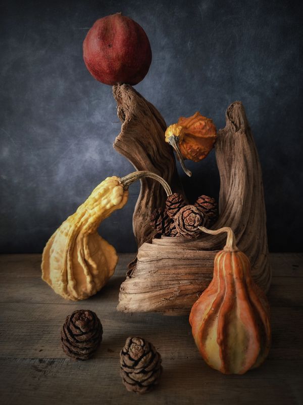 The Nest фото превью