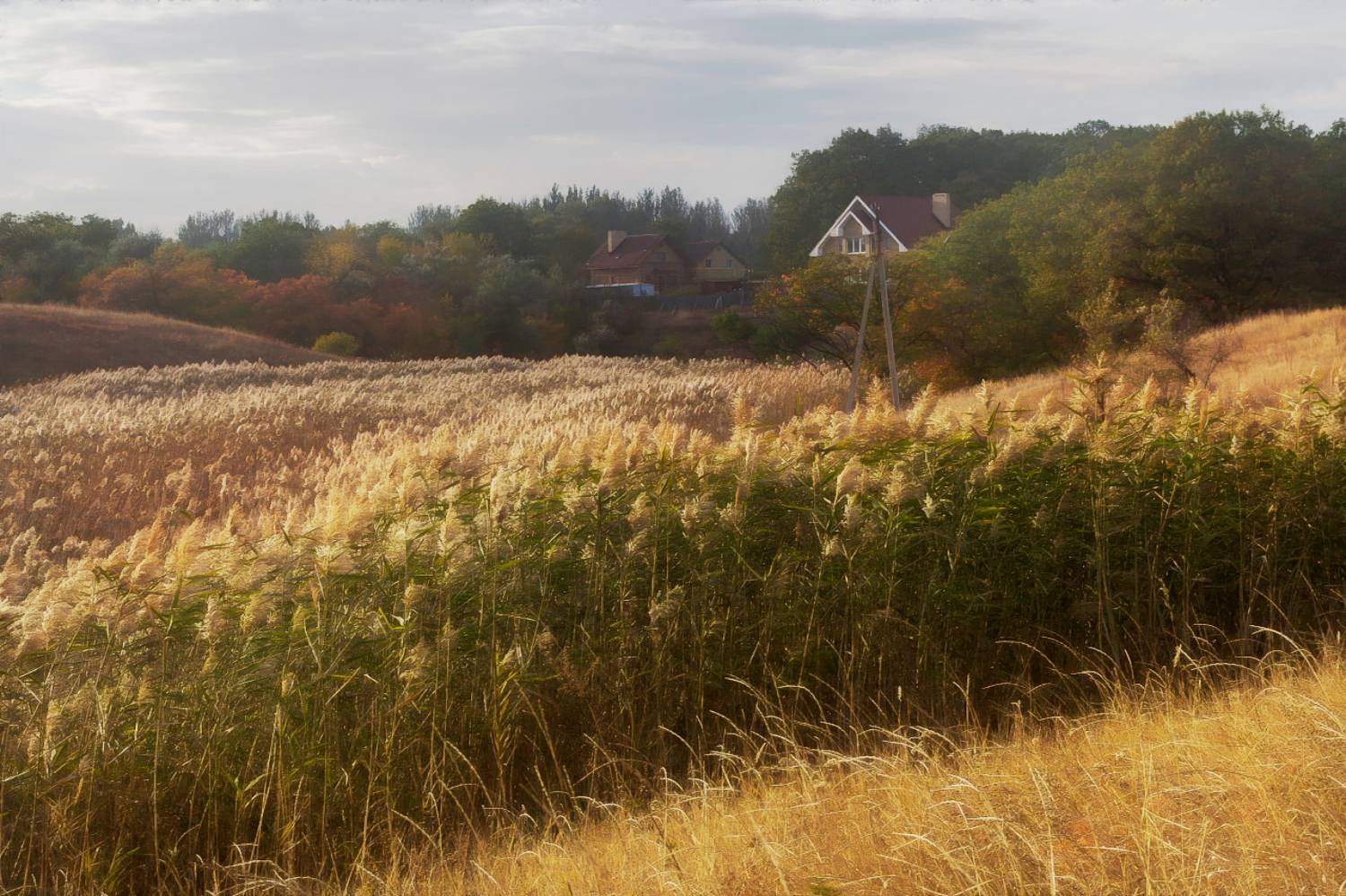, Лысенко Сергей