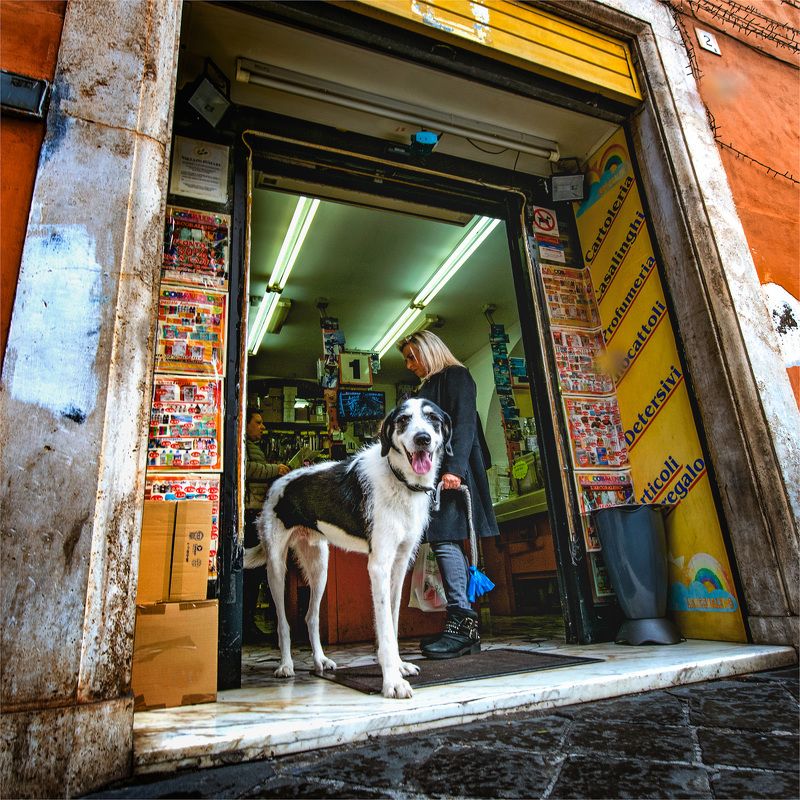 -жанровый портрет- фото превью