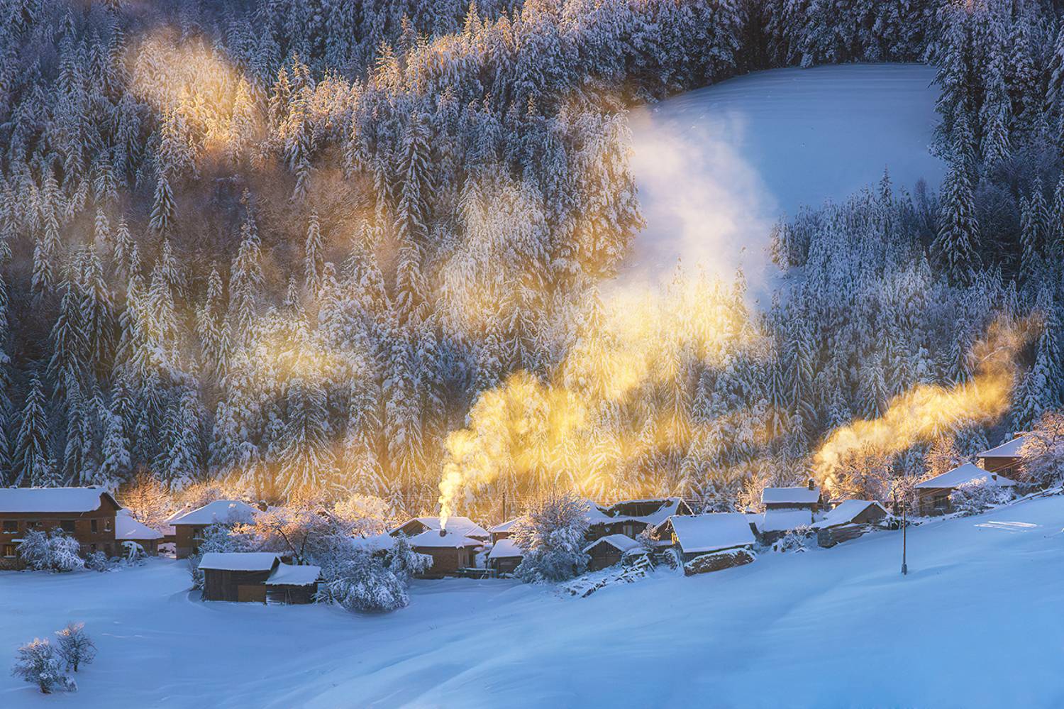 българия, Svetoslav Georgiev