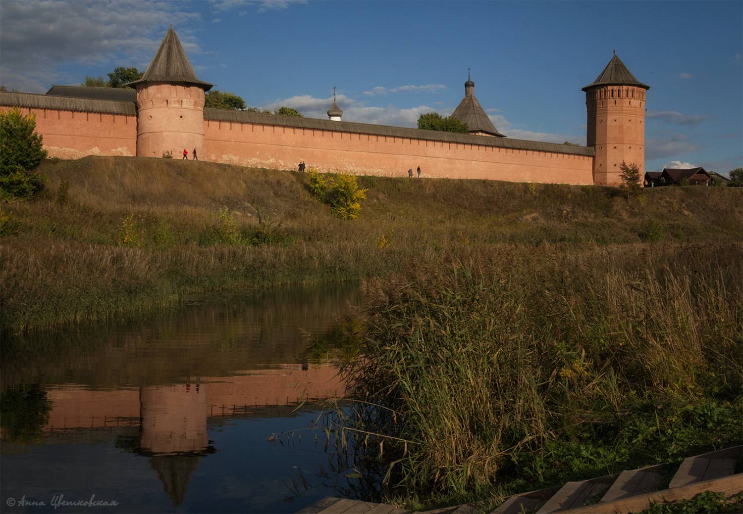 суздаль, архитектура, Анна Цветковская