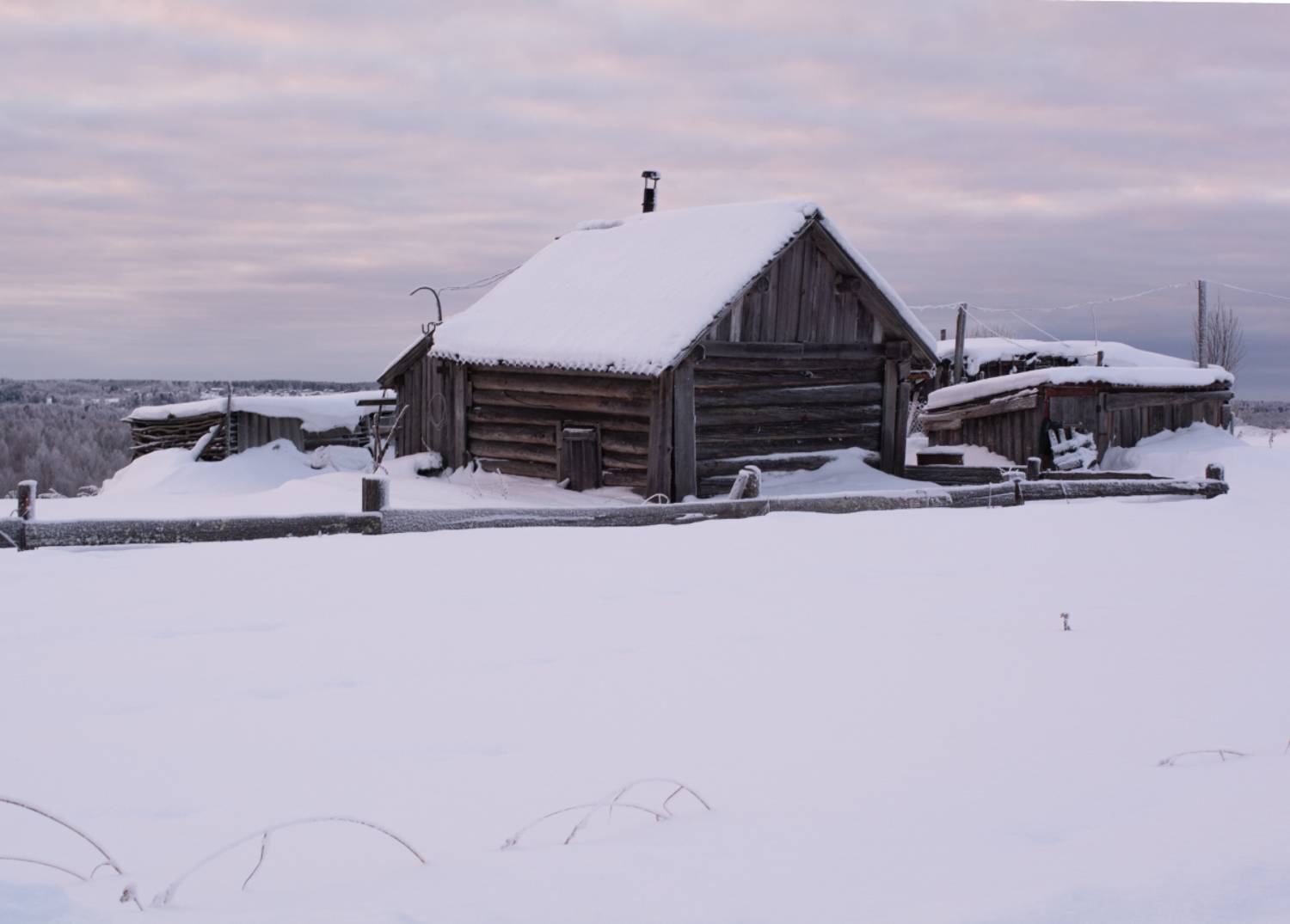 , Марина Никулина