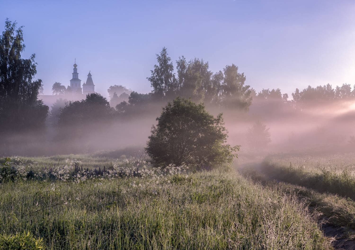 истра, Елена Гусева