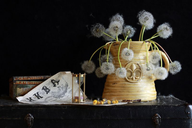 Одуванчик букет цветы bouquet flowers stilllife натюрморт canon Времечко фото превью