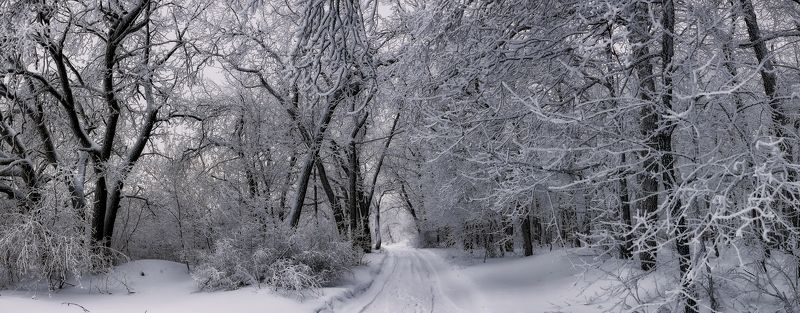 Дорога через зимний лес... фото превью