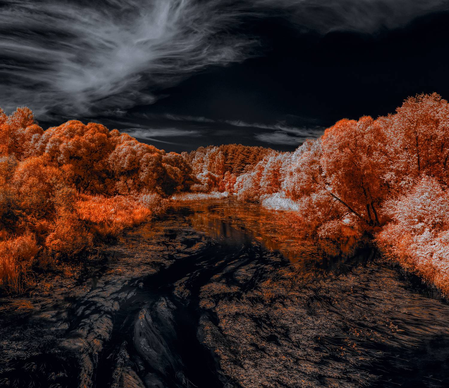 infrared,ик-фото,инфракрасное фото, инфракрасная фотография, пейзаж, лето,  Sixten (Сергей)