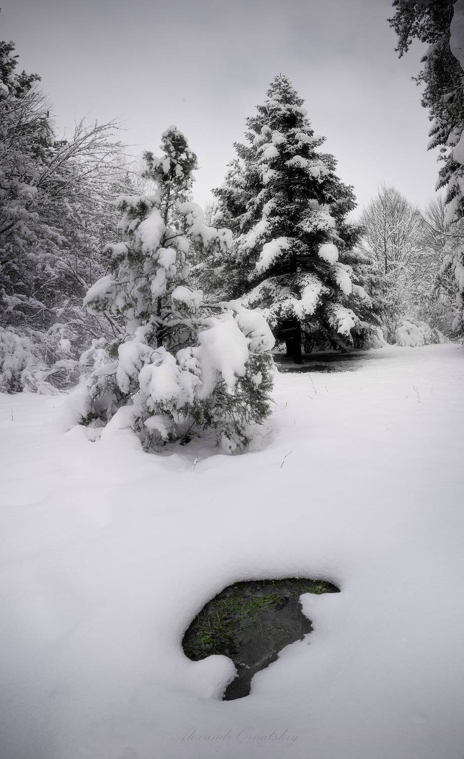 , Орнатский Александр