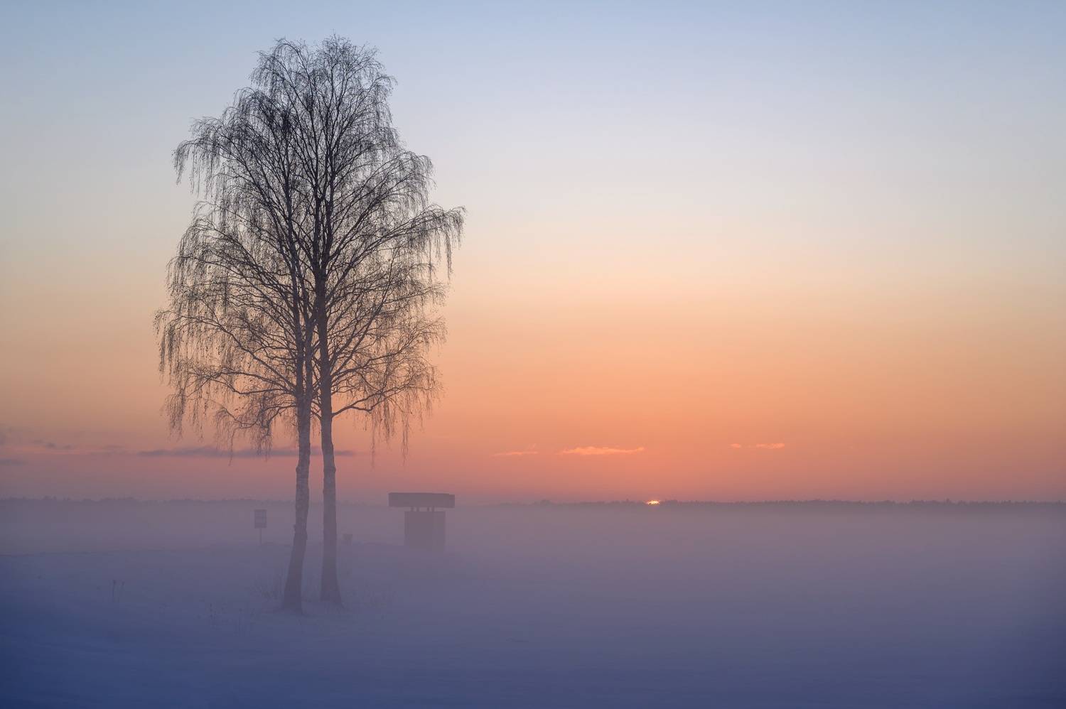 , Никитин Николай