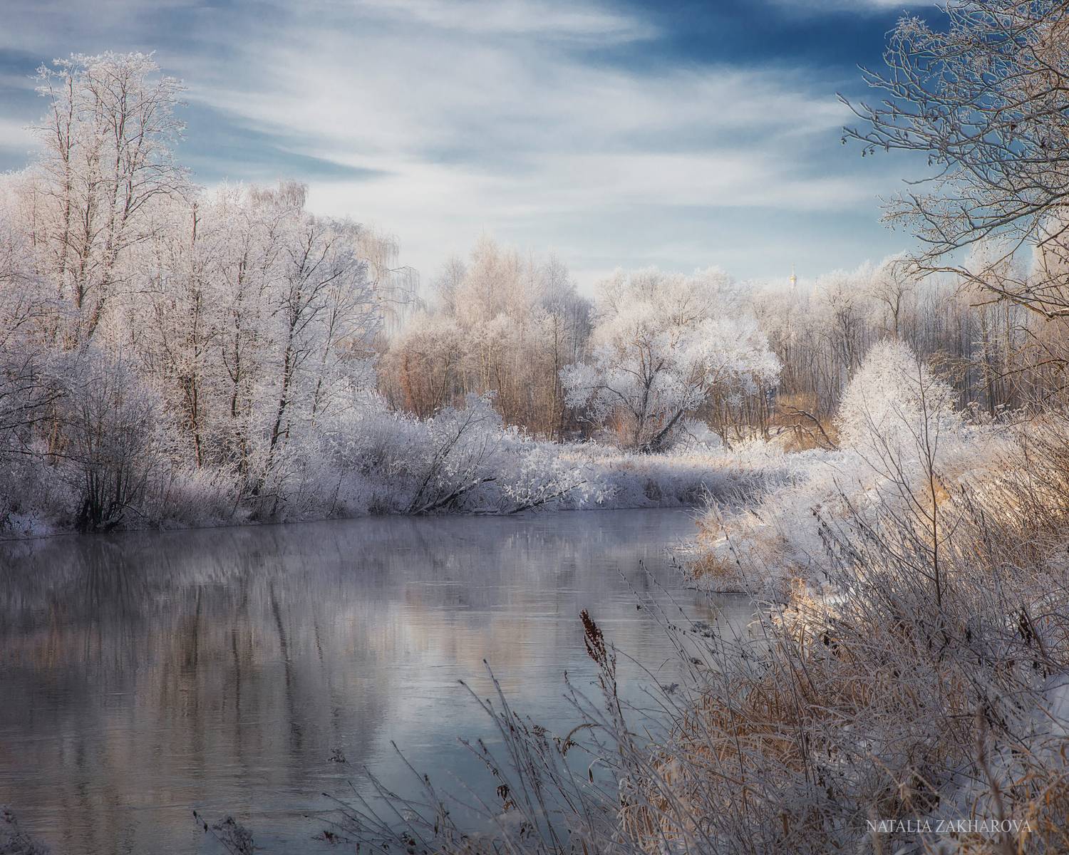 истра, иней, утро, Захарова Наталья