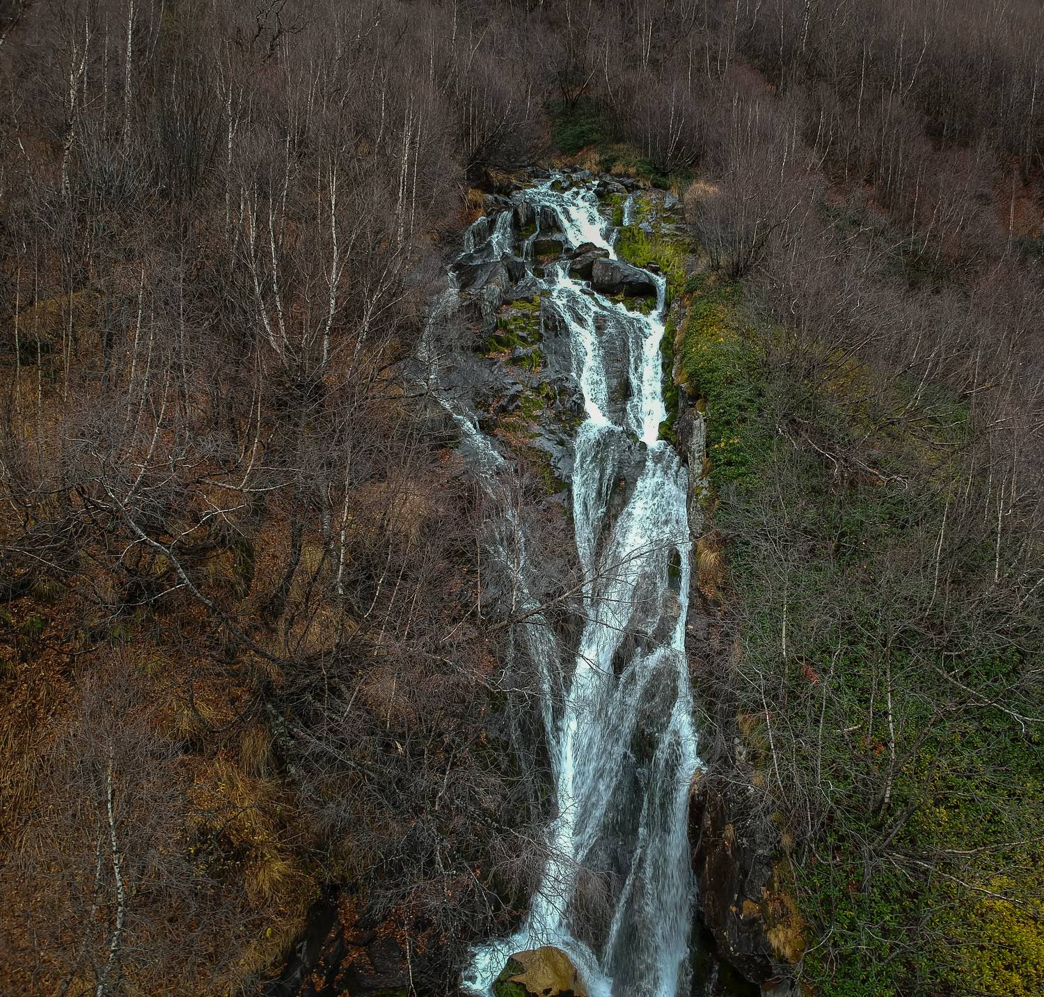 , Владлен Халимов