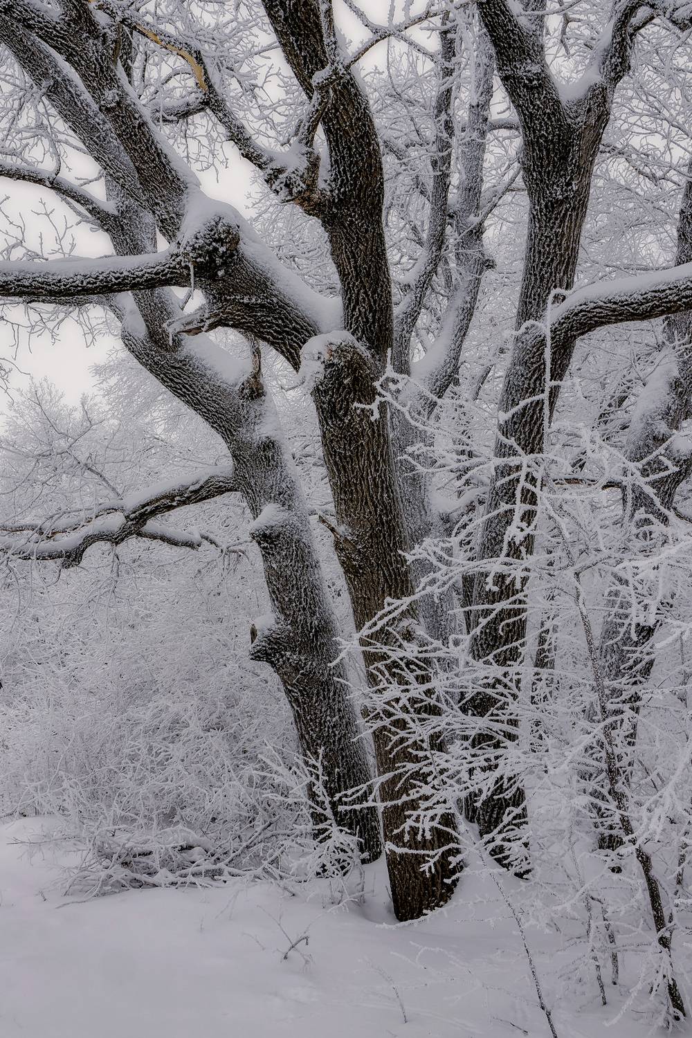 , Подосинников Максим